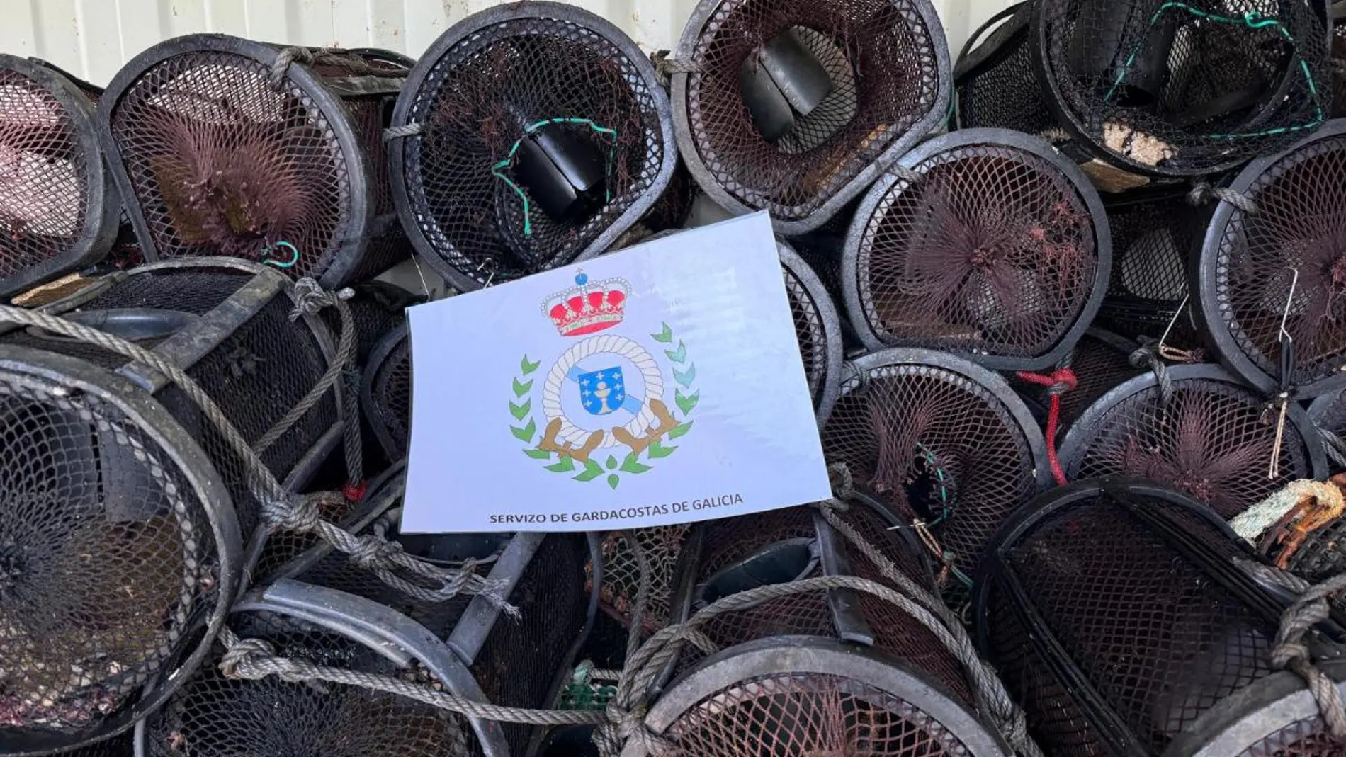 Más de 6.000 nasas y cacharros de pulpo incautados por Guardacostas durante la veda en Galicia