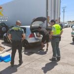  La Guardia Civil interviene 21 kilos de langostinos vivos en el maletero de un vehículo particular en Murcia