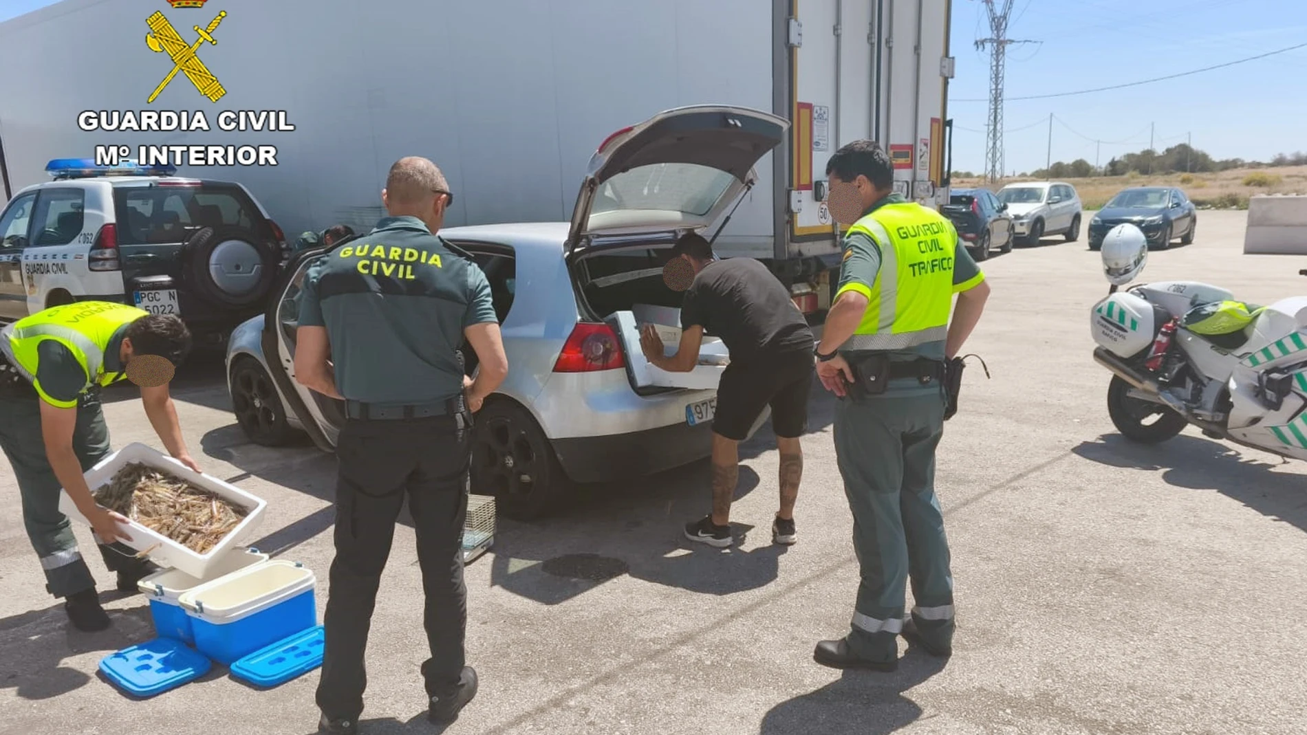 La Guardia Civil interviene 21 kilos de langostinos vivos en el maletero de un vehículo particular en Murcia