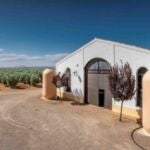 Palacio de Los Olivos: nº1 del ranking mundial de aceites por octavo año consecutivo