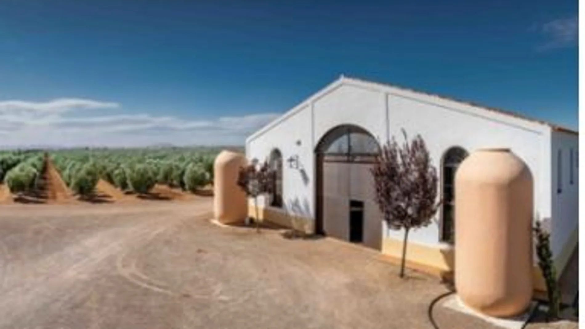 Palacio de Los Olivos: nº1 del ranking mundial de aceites por octavo año consecutivo