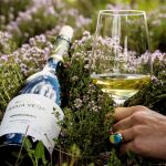 3 vinos blancos de Rioja Vega para el verano