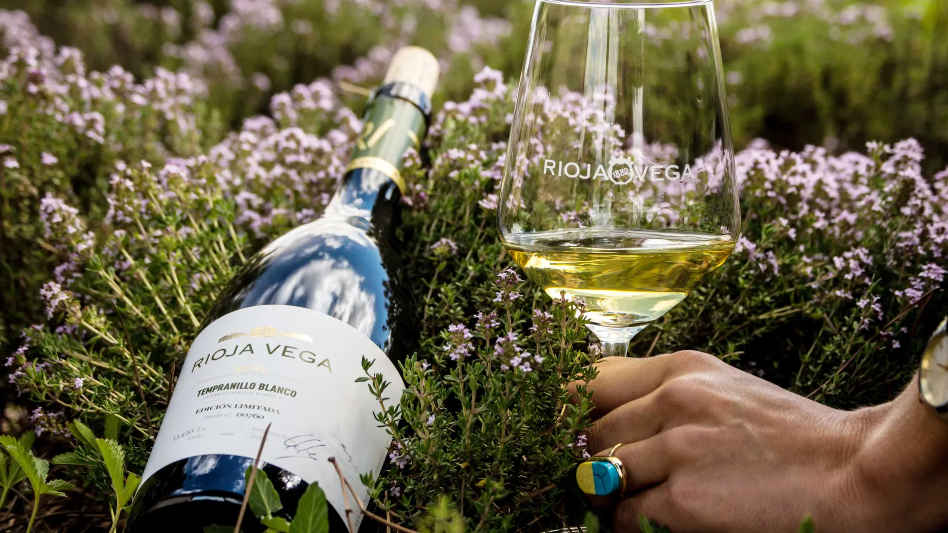 3 vinos blancos de Rioja Vega para el verano