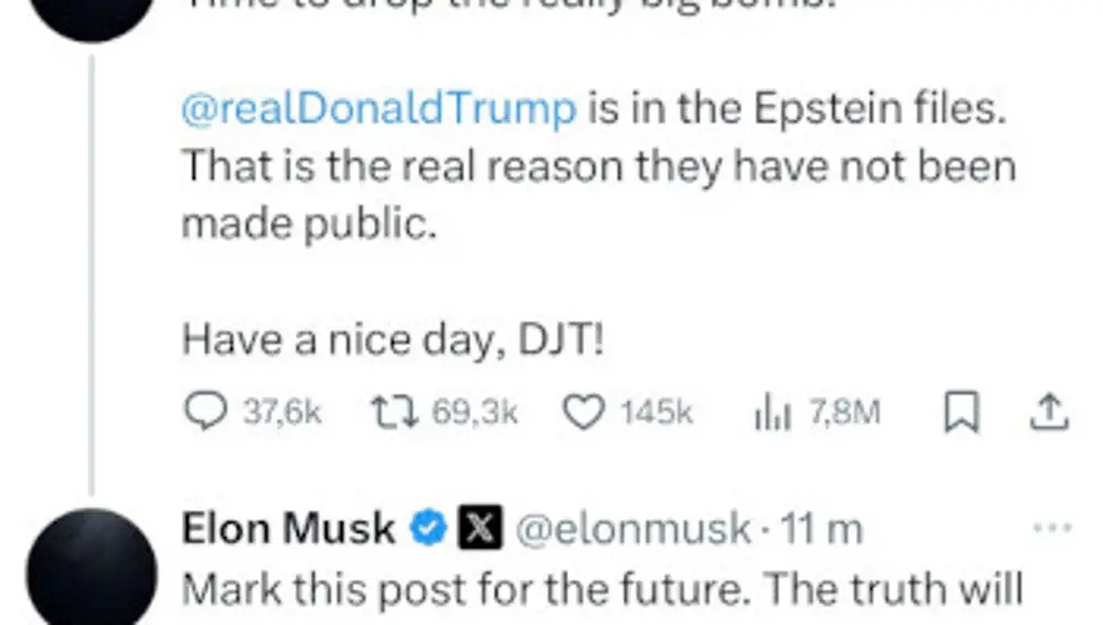 Captura con la publicación eliminada por parte de Elon Musk