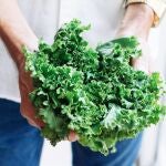 Miguel Martín, horticultor: “Con esta combinación de plantas, tu eneldo durará más tiempo y resistirá mejor el calor”