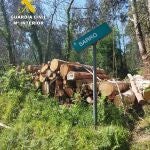 Investigadas tres personas por realizar talas sin permiso en los montes de Oleiros (A Coruña), por hurto y falsedad