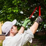 Un abogado explica quién es responsable si el árbol de un vecino sobresale de su jardín