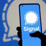 Así es Signal, la aplicación por donde se comunicaban Koldo y Santos Cerdán