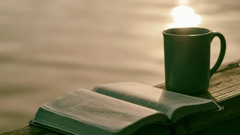 Por qué los reading retreats son el nuevo lujo silencioso (así es el primero en un hotel en España)