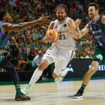Llull, en el cuarto partido de la semifinal ante el Unicaja