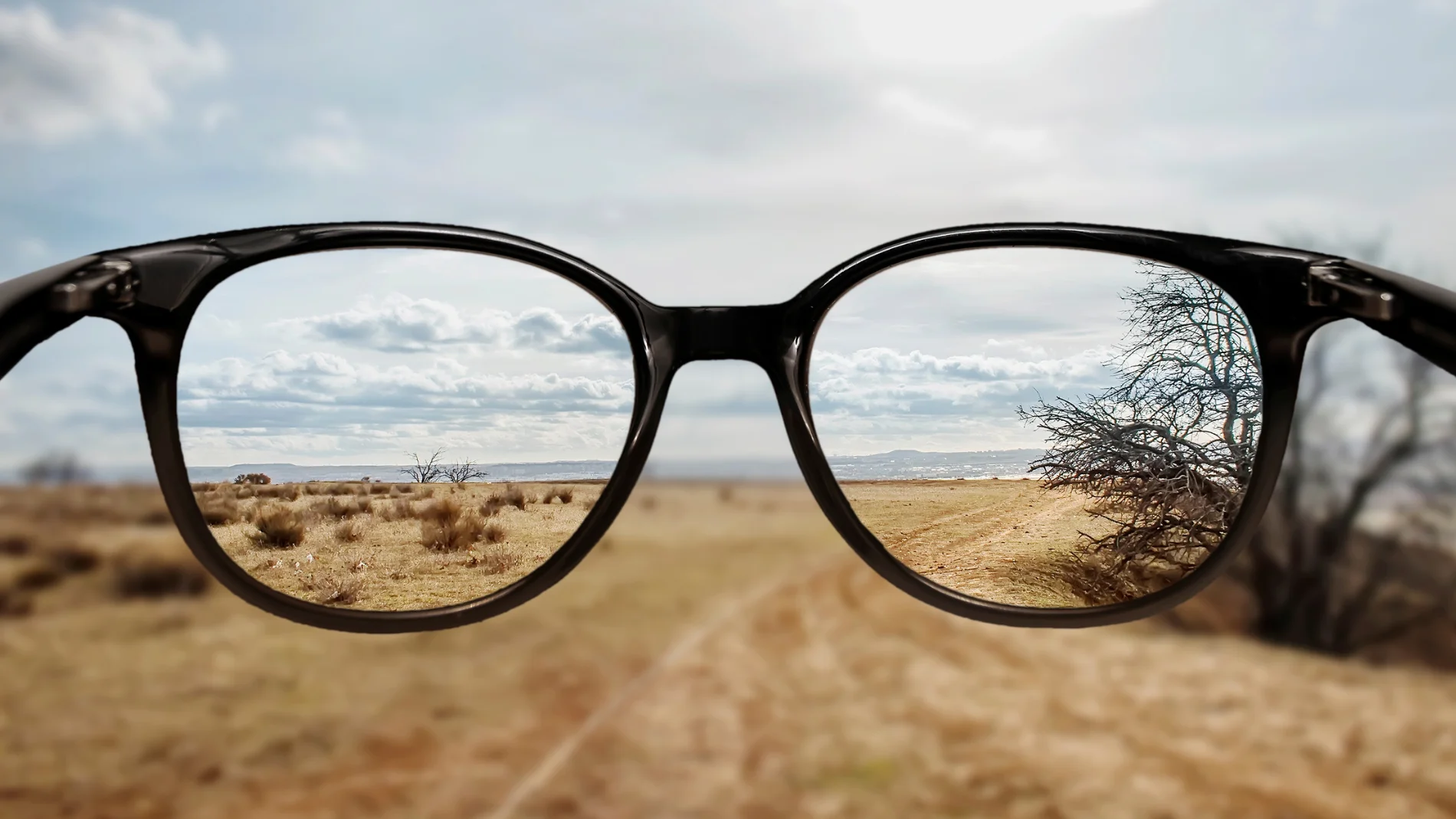 Llegan las gafas que enfocan solas: así cambiará tu forma de ver el mundo