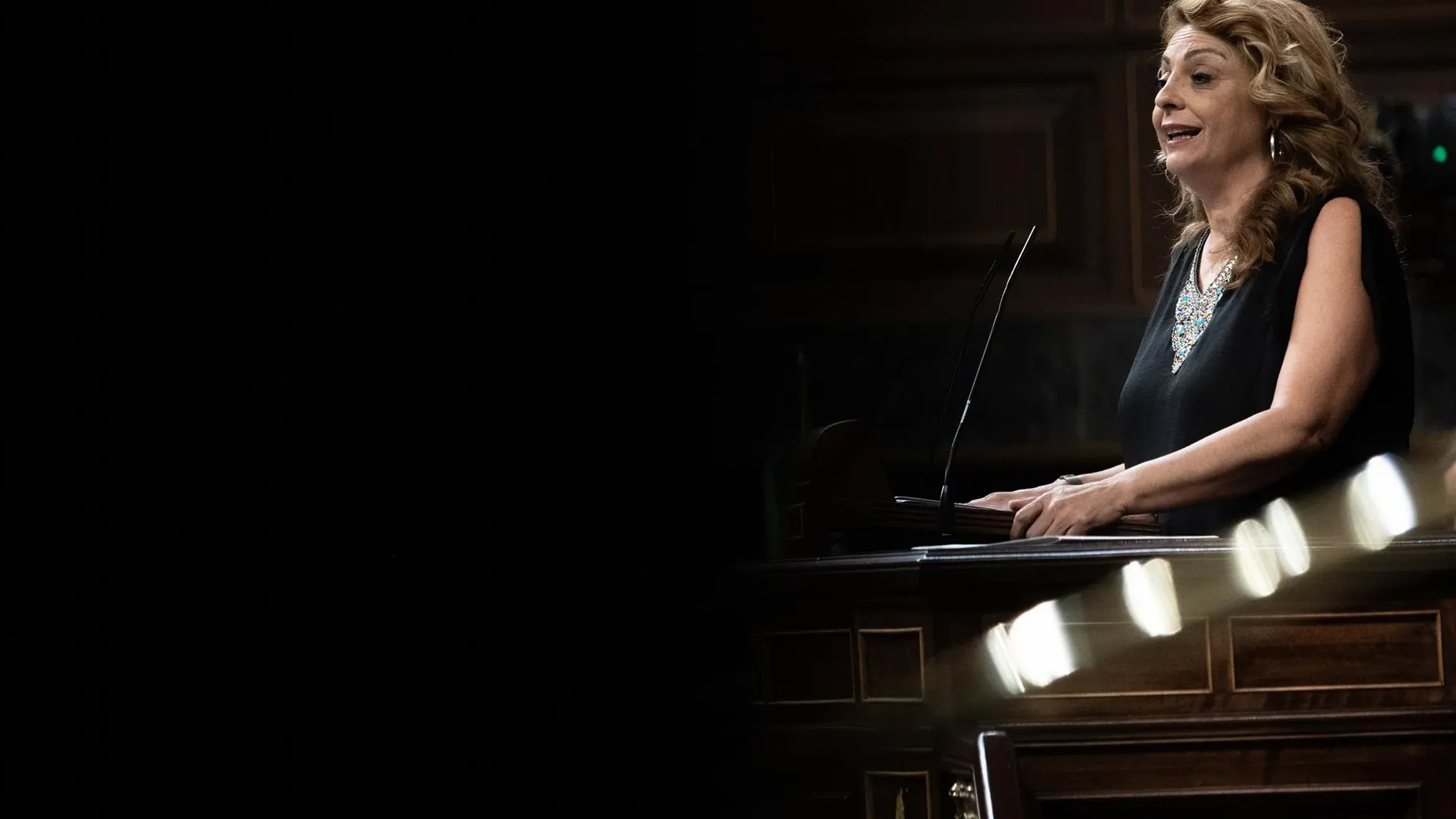 Cristina Valido en el Congreso de los Diputados