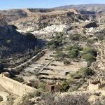 La juez archiva el caso por la muerte de las gacelas de la EEZA-CSIC en Almería al no apreciar delito