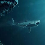 El tiburón mecánico de la película de Steven Spielberg se convirtió en una leyenda del cine