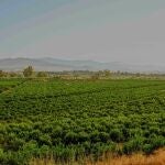 La zona de Vega de Mestanza de Málaga donde ira la EDAR no presenta fauna protegida