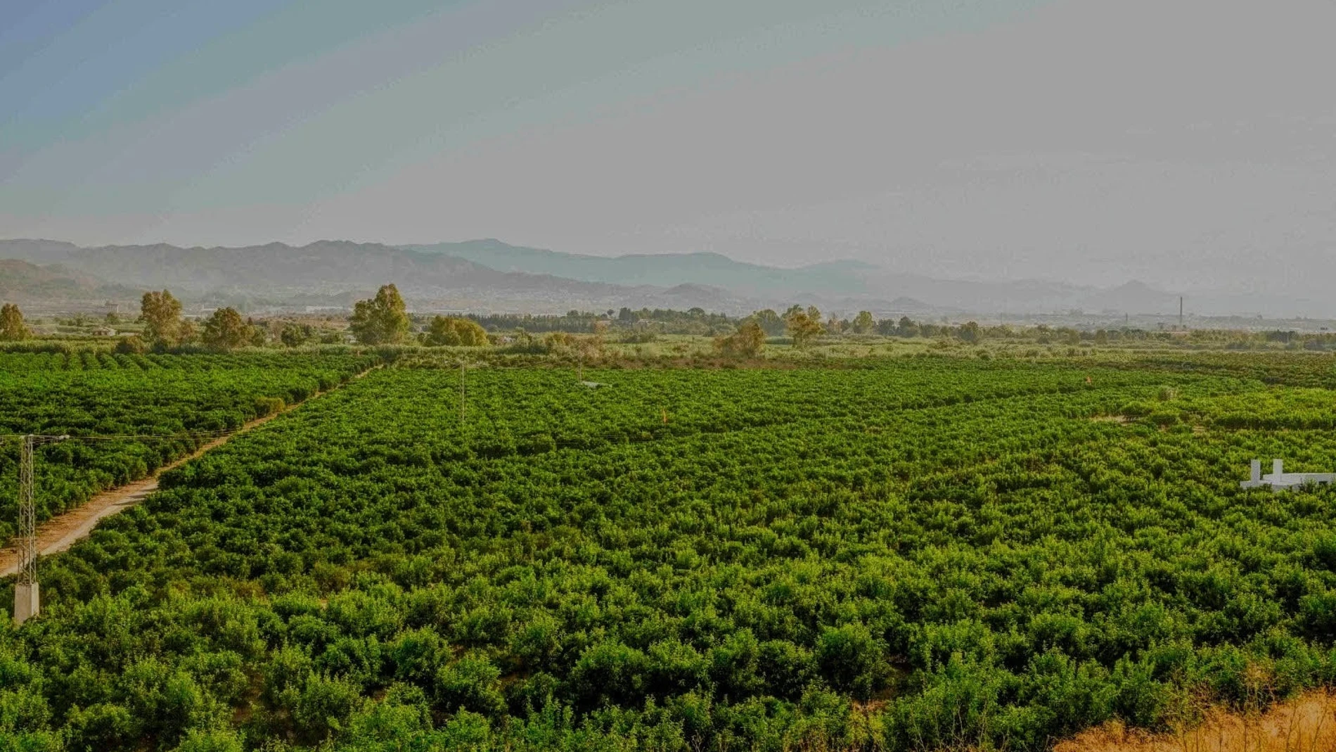 La zona de Vega de Mestanza de Málaga donde ira la EDAR no presenta fauna protegida