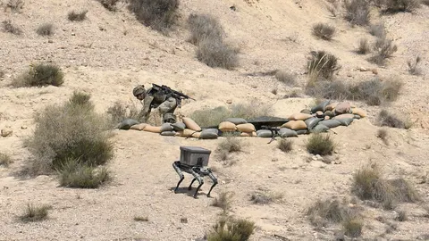 El Ejército de Tierra muestra su avance en robotización del combate en Almería