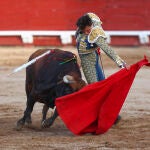Toros Corpus Christi en Toledo