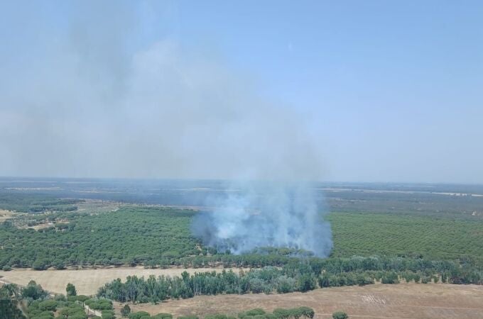 Declarado un incendio en el paraje Camino del Cabezo Gordo de Almonte