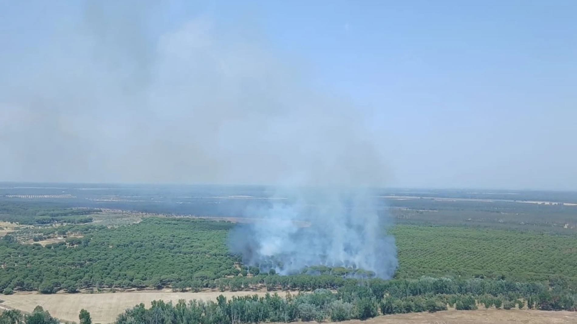 Declarado un incendio en el paraje Camino del Cabezo Gordo de Almonte