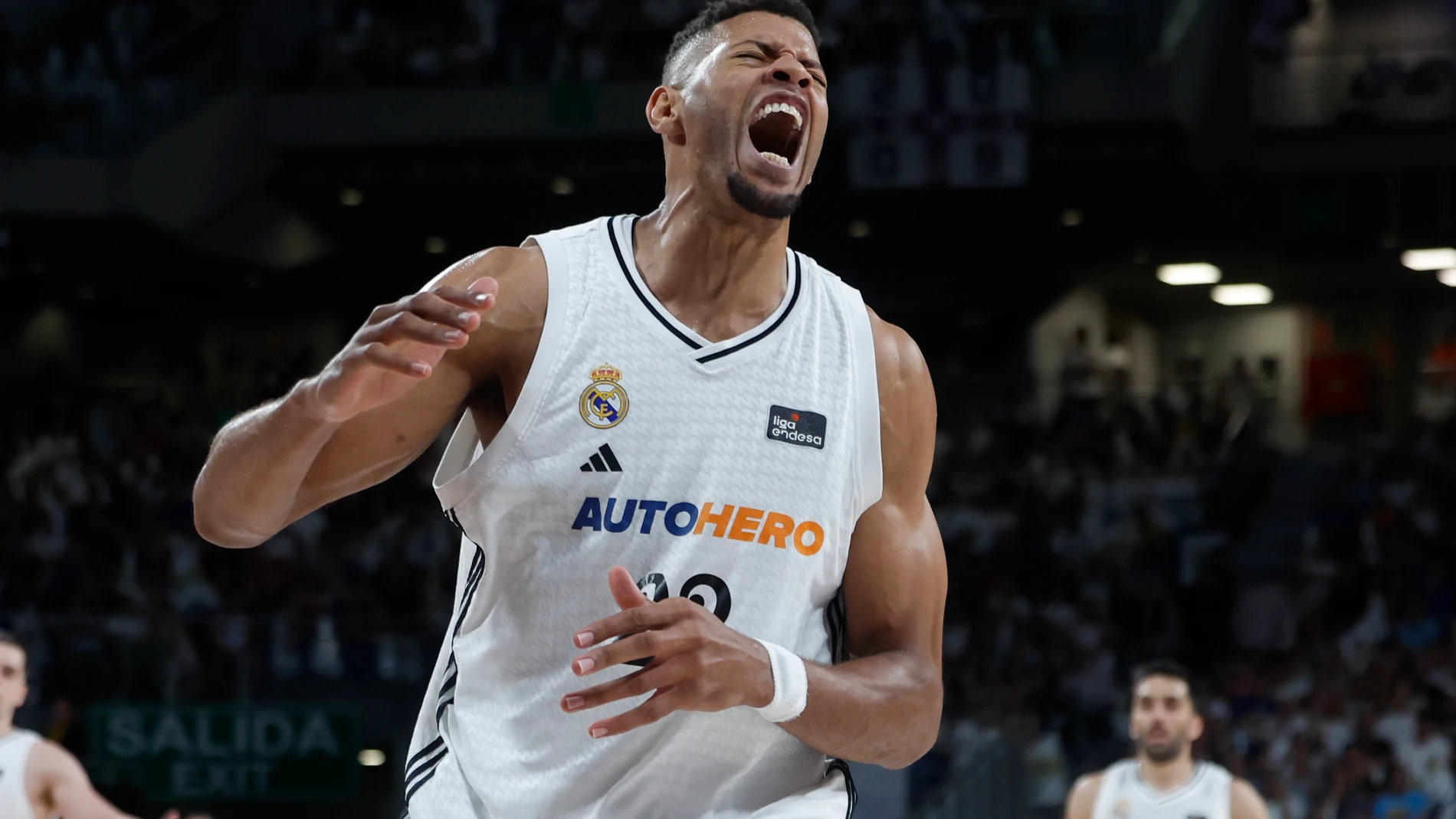 Tavares, pívot del Real Madrid