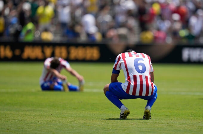 CWC Atletico Madrid Botafogo Soccer