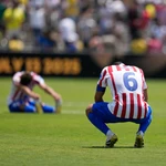 CWC Atletico Madrid Botafogo Soccer
