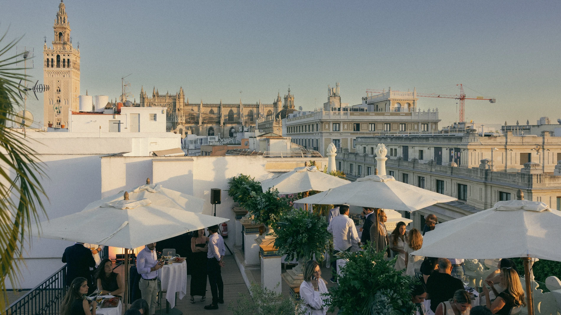 Terraza 1912: atardeceres con vistas a la Giralda y cócteles exclusivos