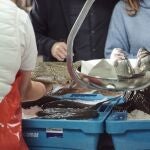 Economía/Pesca.- La acuicultura española reclama igualdad normativa para el pescado importado