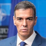 Muchos políticos de otros países de Europa, así como la prensa internacional, han criticado a Pedro Sánchez y piden elecciones en España. Imagen del presidente en la cumbre de la OTAN