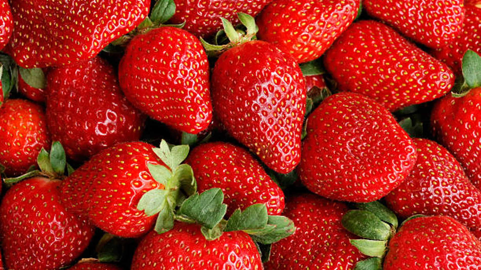 El truco definitivo para conservar las fresas en la nevera sin que se estropeen