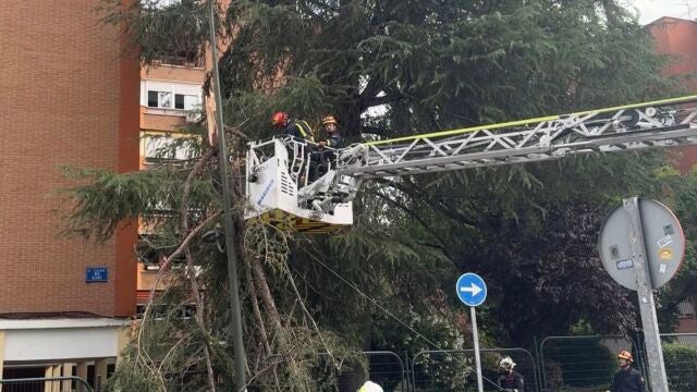 Sucesos.- ACT.- El 112 gestiona más de 589 incidentes por lluvia y viento en la Comunidad de Madrid