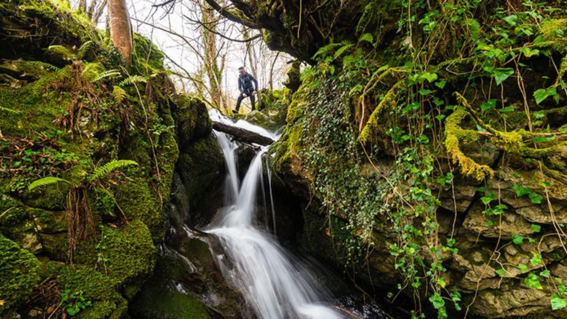 El plan perfecto para disfrutar un día en familia en Asturias: senda de los molinos