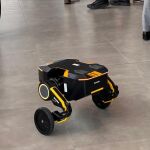 El robot “gallina” que ‘anima’ a los pollos a moverse en las granjas 