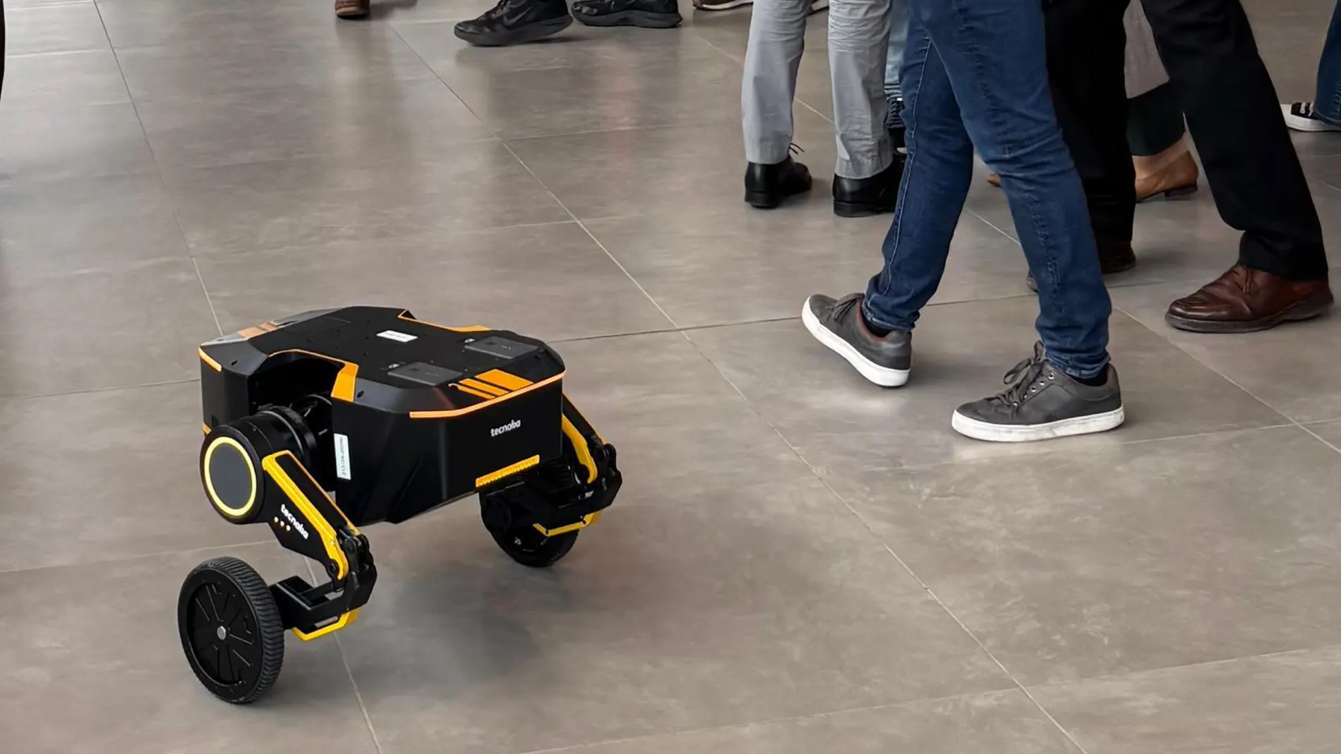 El robot “gallina” que ‘anima’ a los pollos a moverse en las granjas