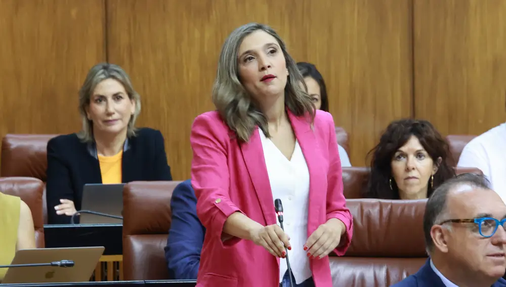 Sesión de control al Gobierno en el Parlamento de Andalucía