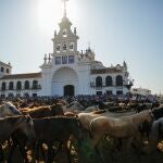 Saca de las Yeguas en Almonte (Huelva)