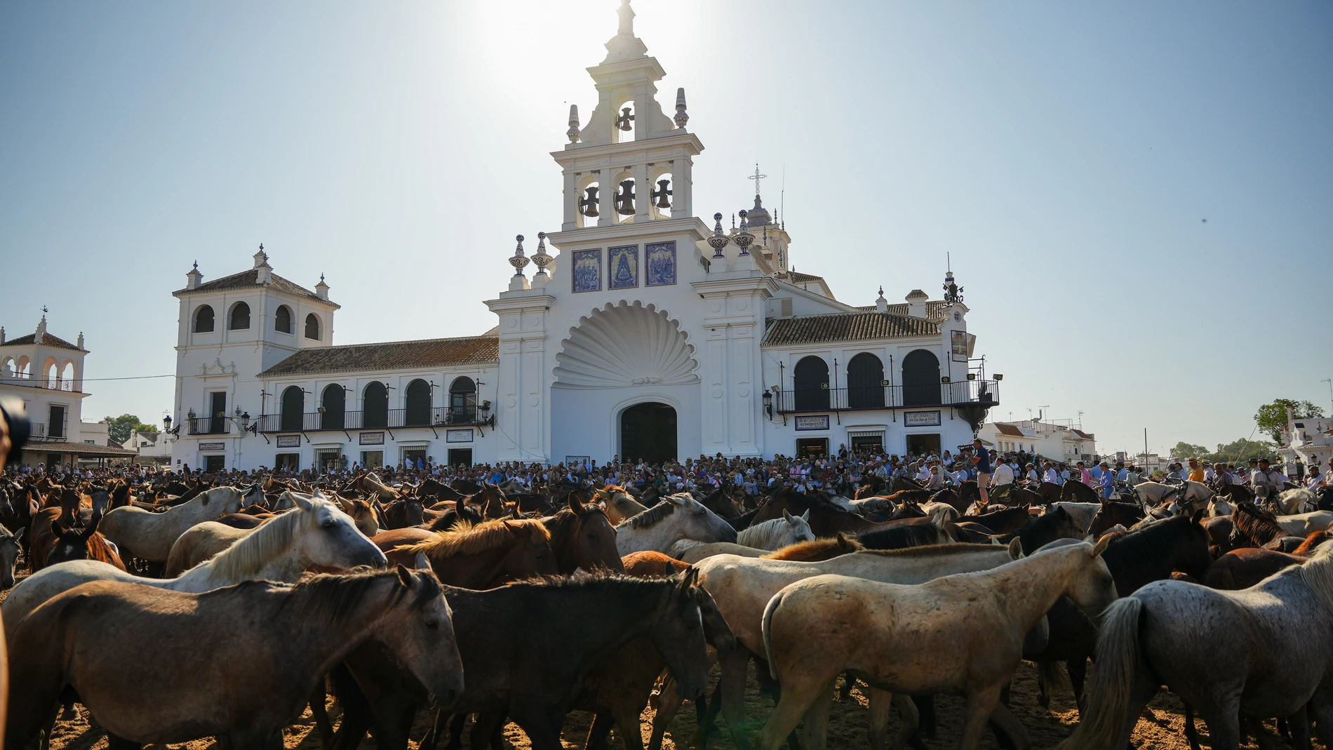 Saca de las Yeguas en Almonte (Huelva)