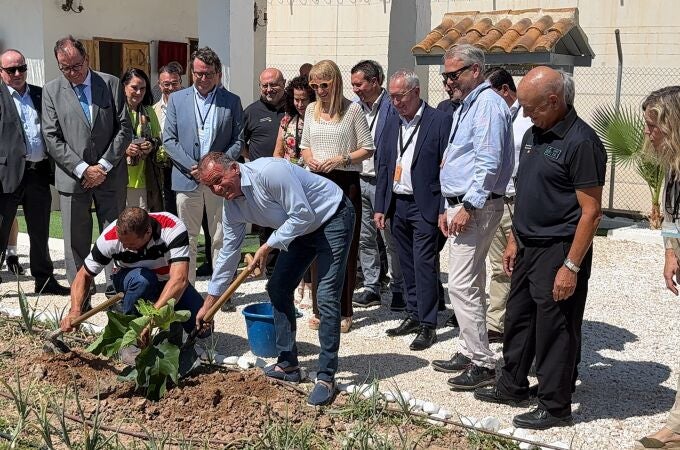 Un esqueje de la higuera de la casa de Miguel Hernández crece ahora en la cárcel de Campos del Río