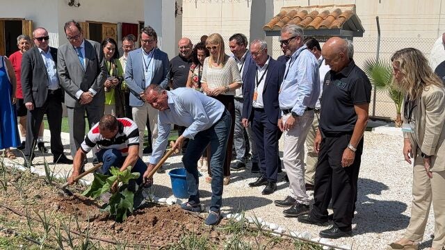 Un esqueje de la higuera de la casa de Miguel Hernández crece ahora en la cárcel de Campos del Río