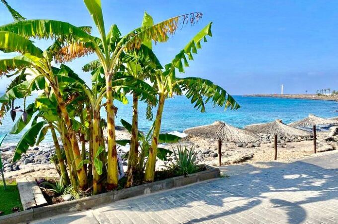 Estos son los mejores bares, chiringuitos y terrazas de Canarias para este verano