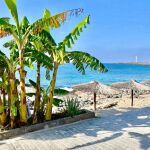 Estos son los mejores bares, chiringuitos y terrazas de Canarias para este verano