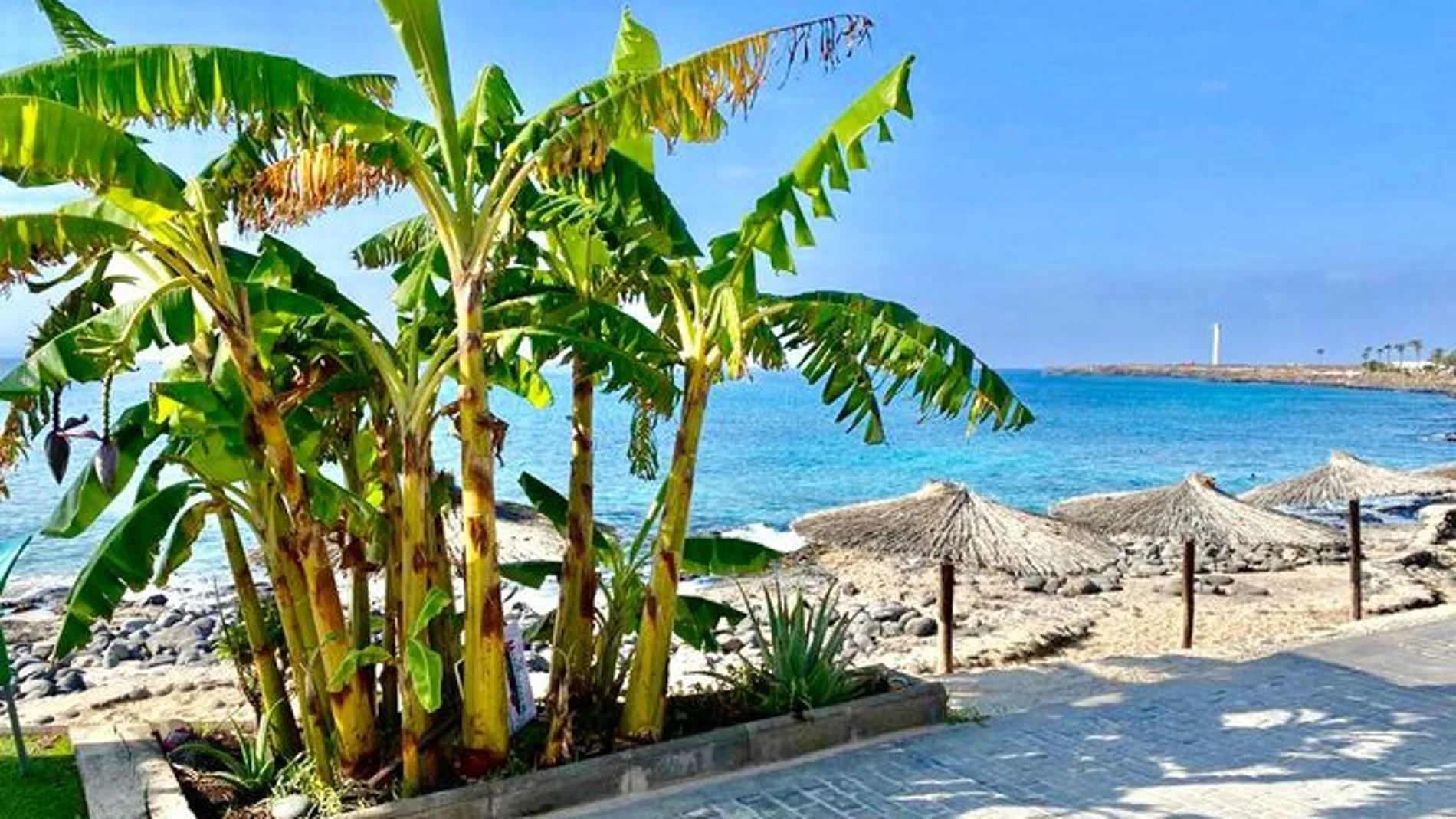 Estos son los mejores bares, chiringuitos y terrazas de Canarias para este verano