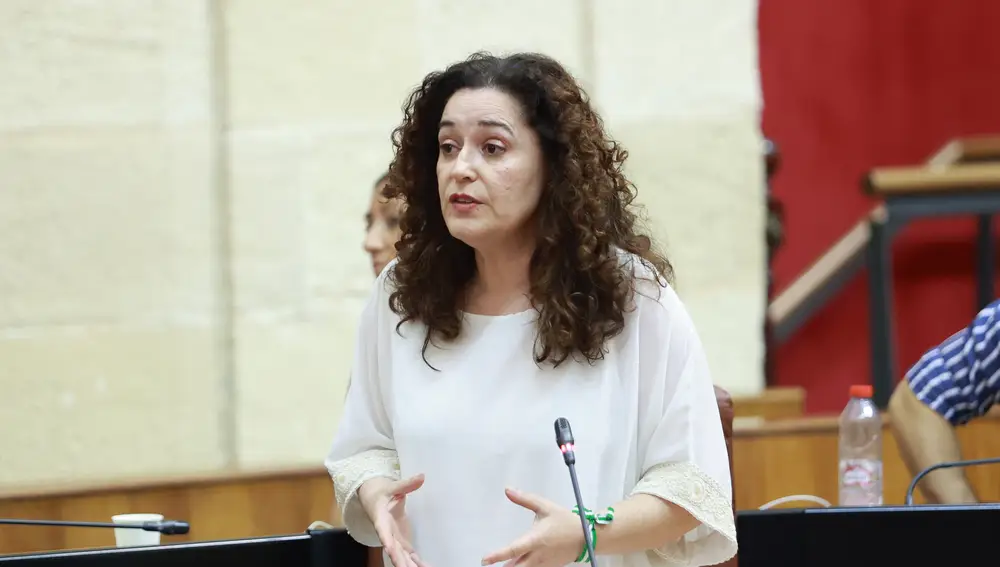 Sesión de control al Gobierno en el Parlamento de Andalucía