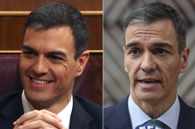 Metamorfosis Pedro Sánchez