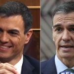 Metamorfosis Pedro Sánchez