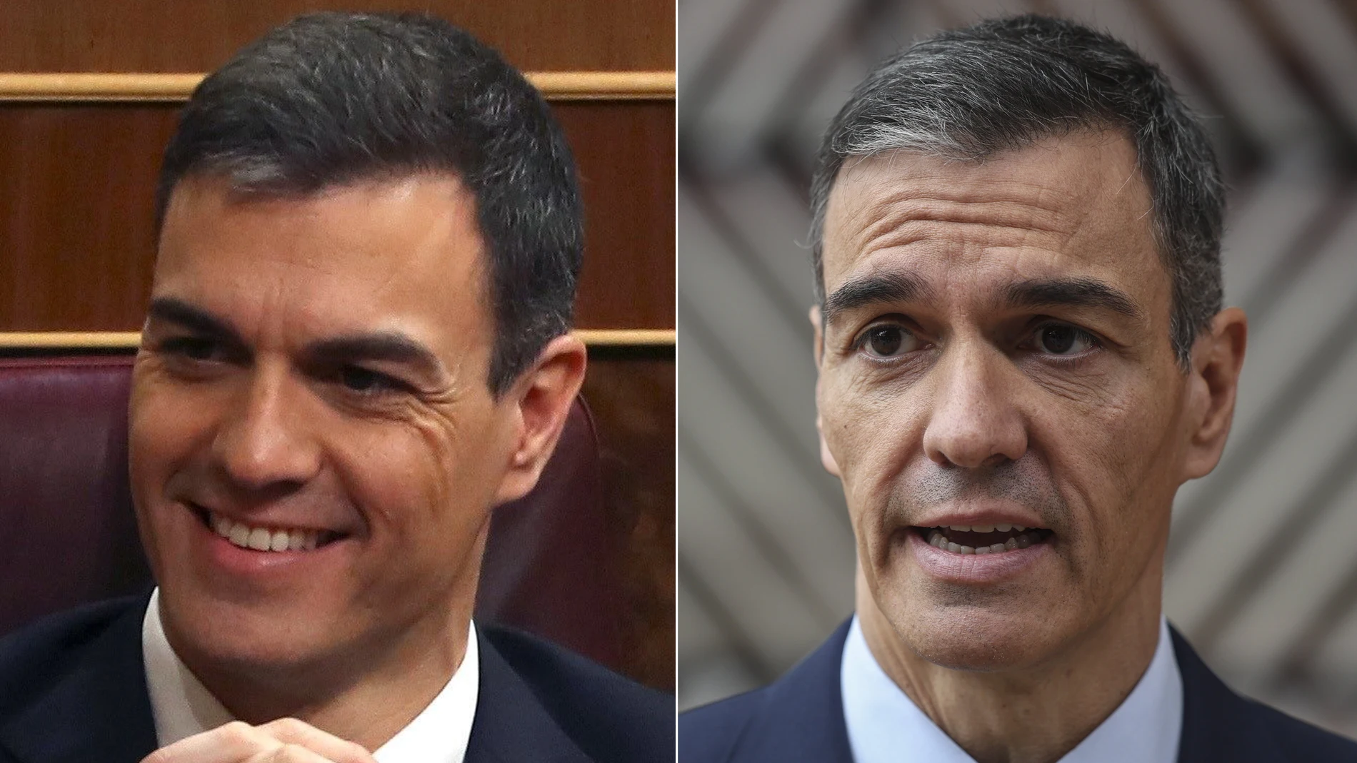 Metamorfosis Pedro Sánchez
