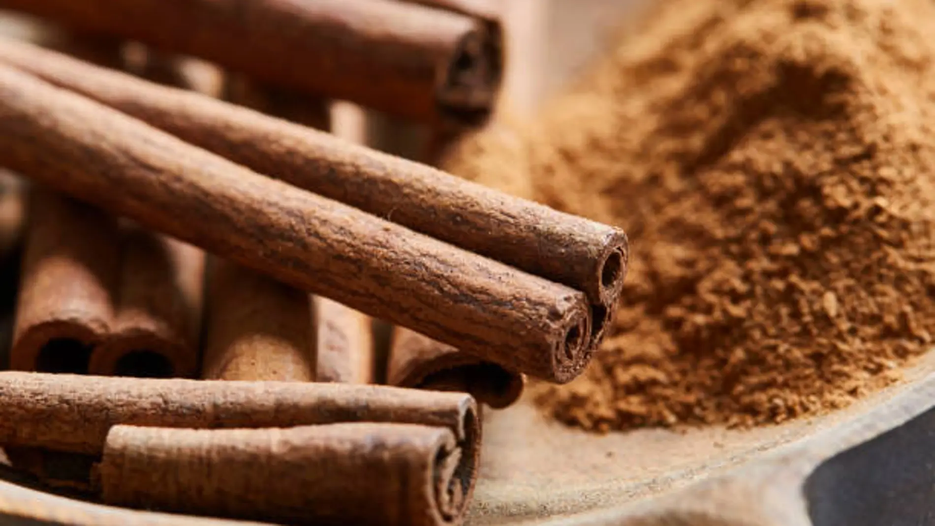 ¿Cómo se llama el árbol de la canela? Este es su nombre que muy pocos conocen