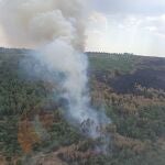 El incendio ha sido declarado este domingo en la localidad pacense de Valdecaballeros