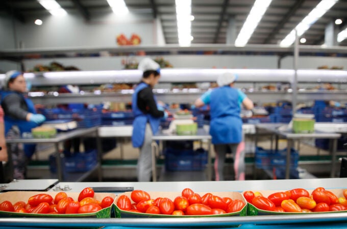 Instalaciones de la empresa Campojoyma, dedicada a la agricultura ecológica